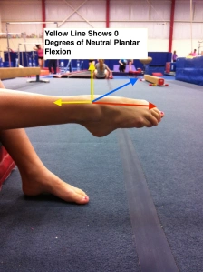 Ankle Plantar Flexion Example 