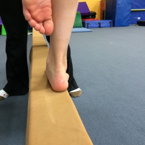 Medial Arch/Inside Foot Biased Toe Raise - Back Start