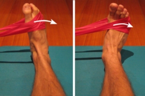 Example of Eversion ("out" motion )Ankle Exercise Using Elastic Band - http://www.physioadvisor.com.au/assets/256/images/13509256(300x300).jpg