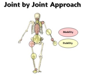 The Joint by Joint Approach